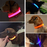 Adjustable LED Glowing Pet Collar